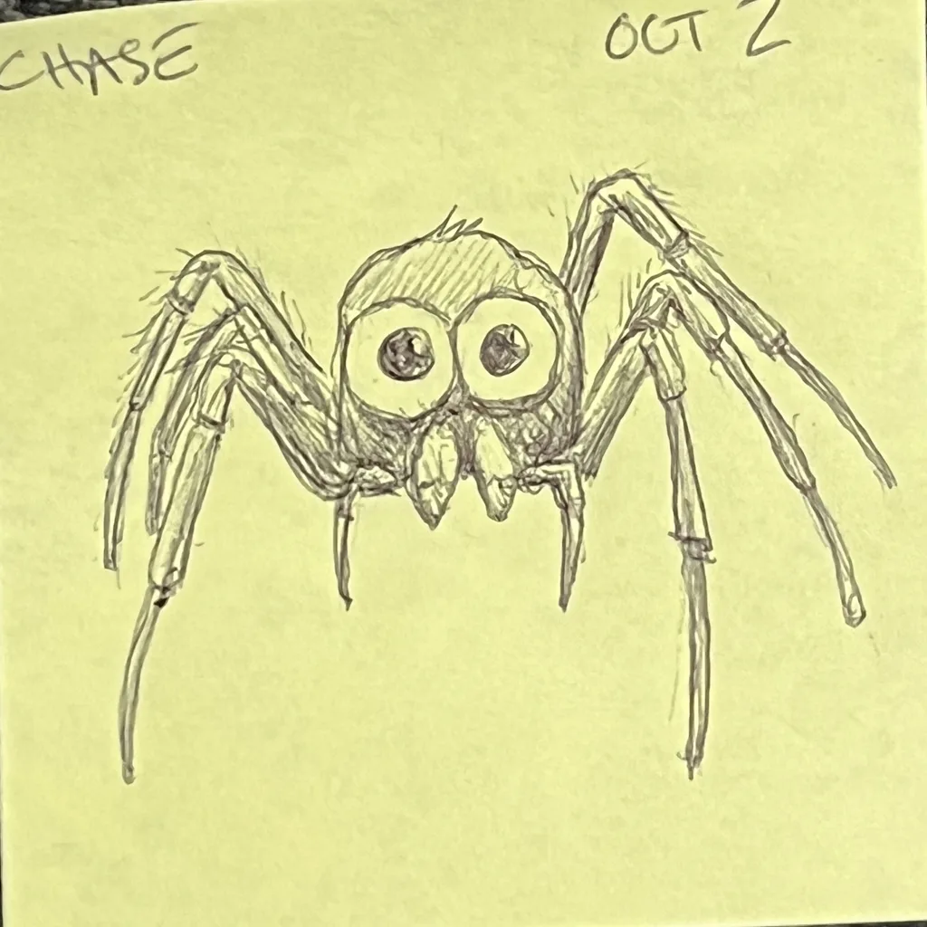 Hairy Spider