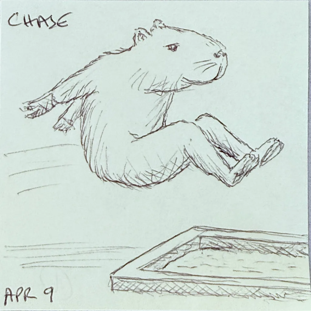 Leaping Capybara