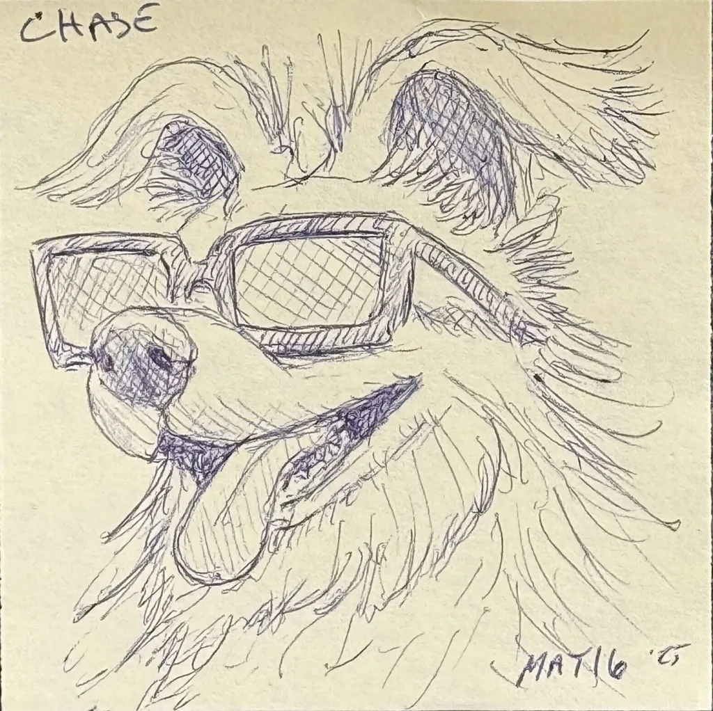 Sunglasses Doggo