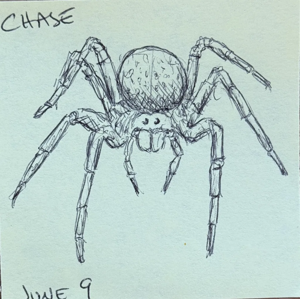 Big Spider