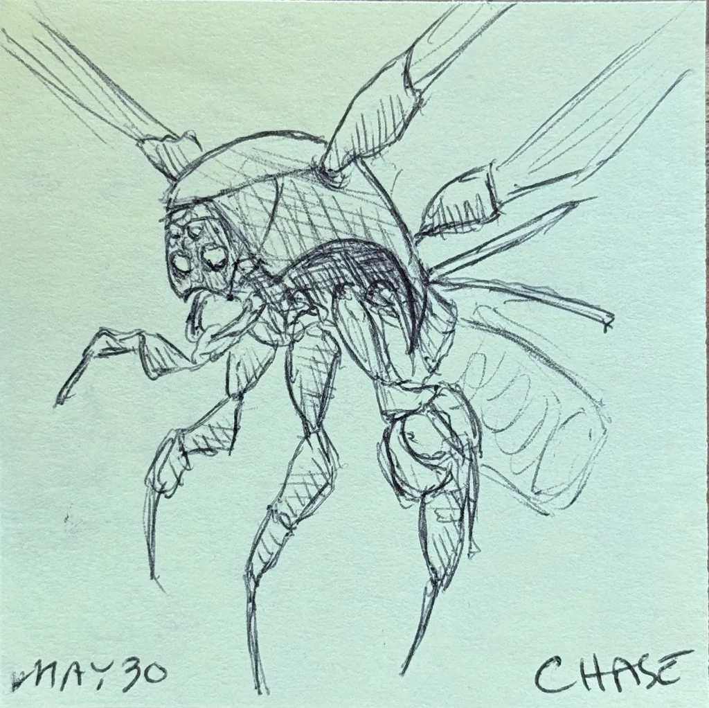 Big Buzzy Bug