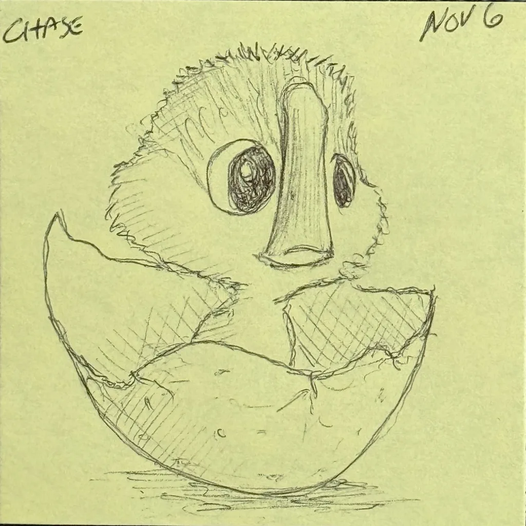 Hatching Duckling