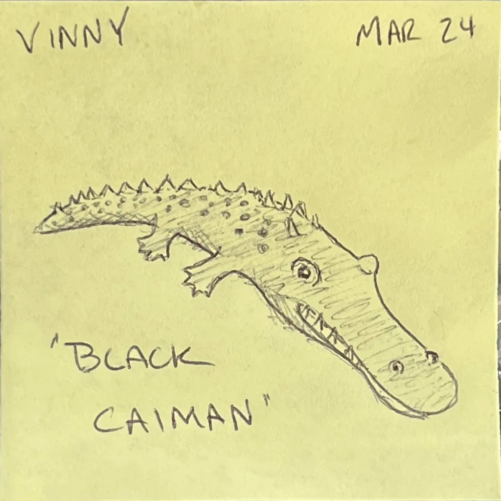 Black Caiman