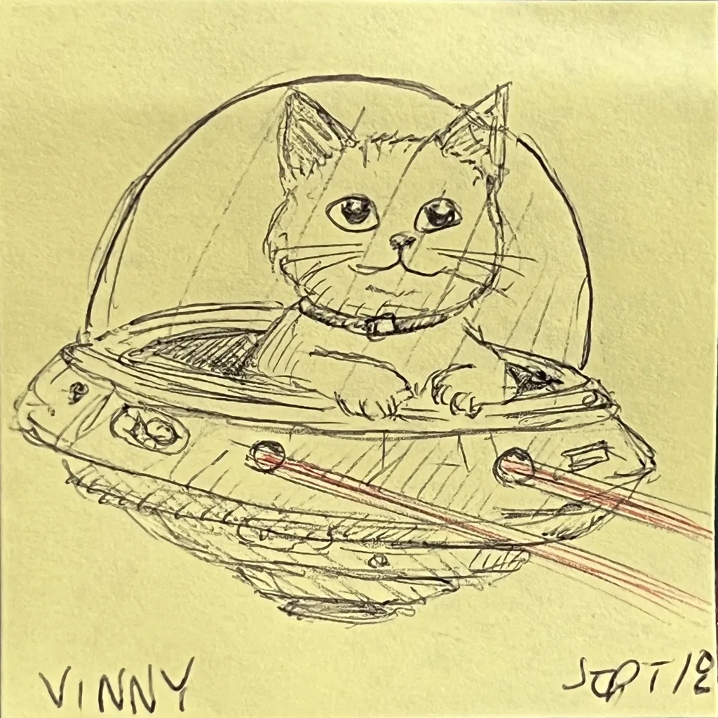 Cat UFO Pilot