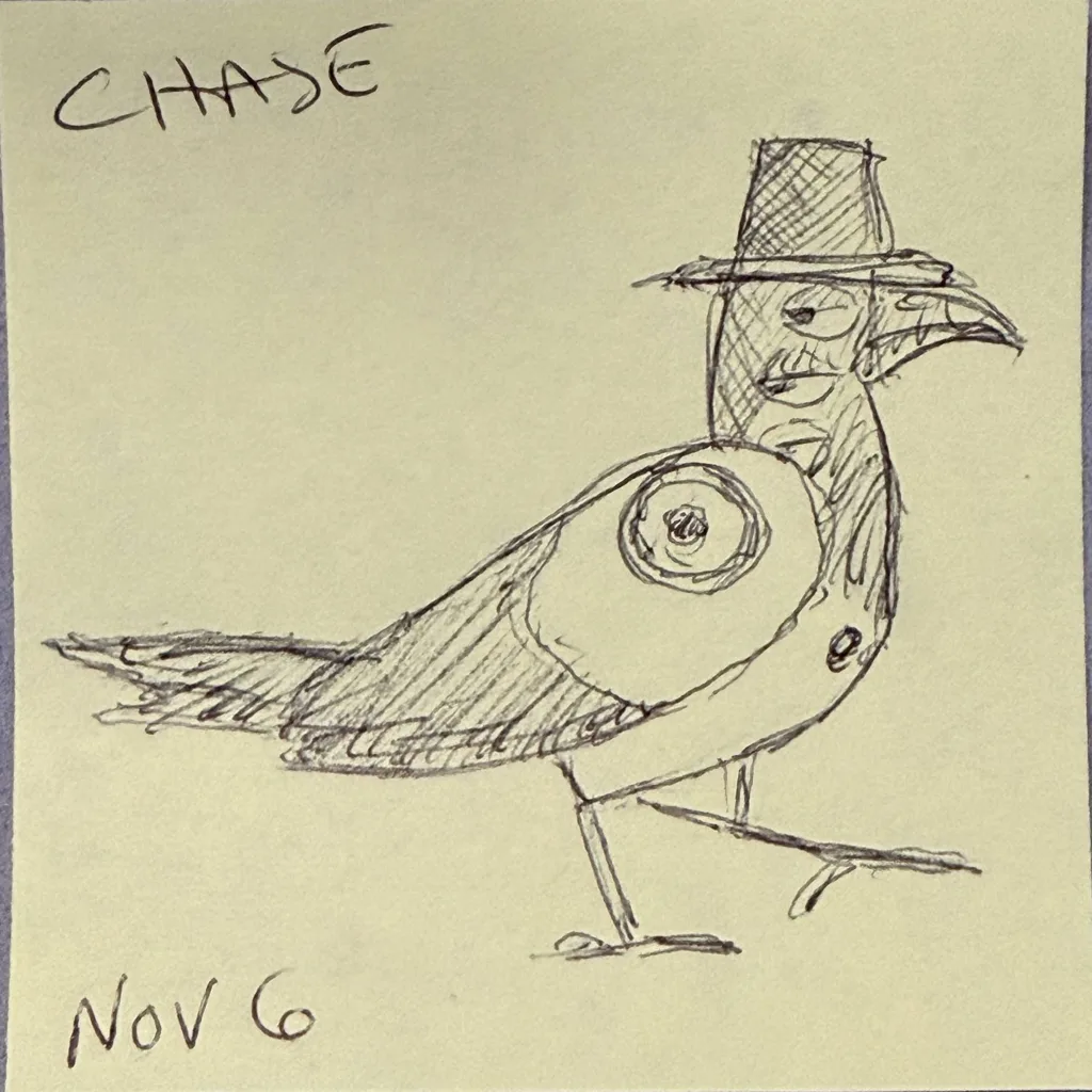 Pilgrim Hat Bird