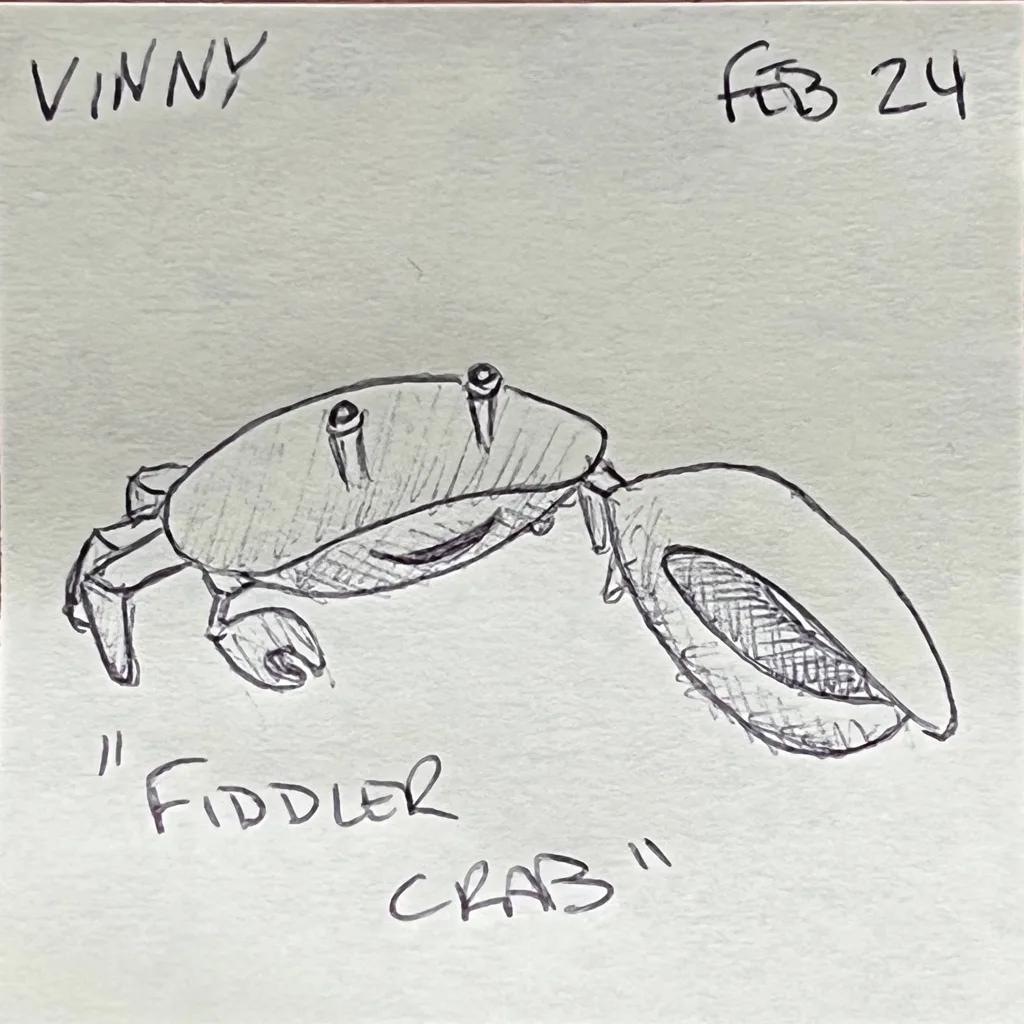 Fiddler Crab