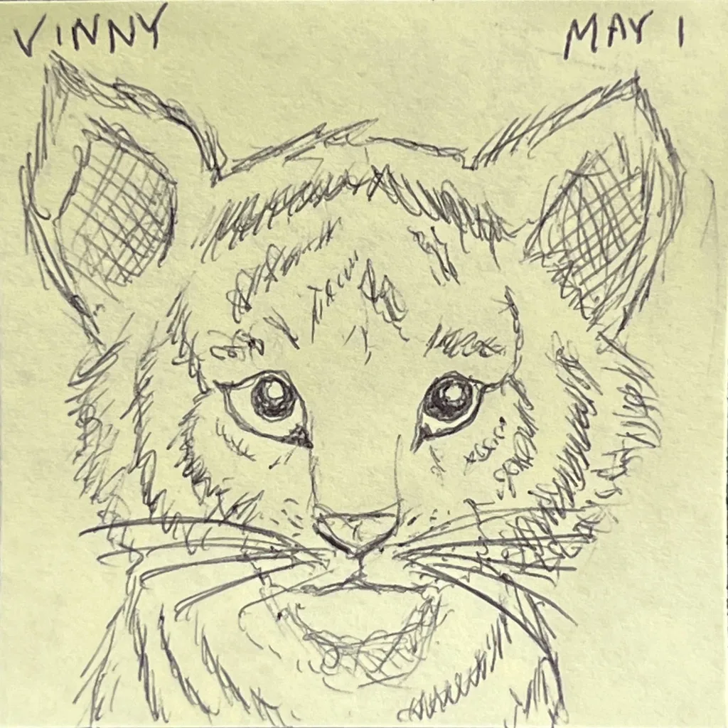 Tiger Cub Portrait