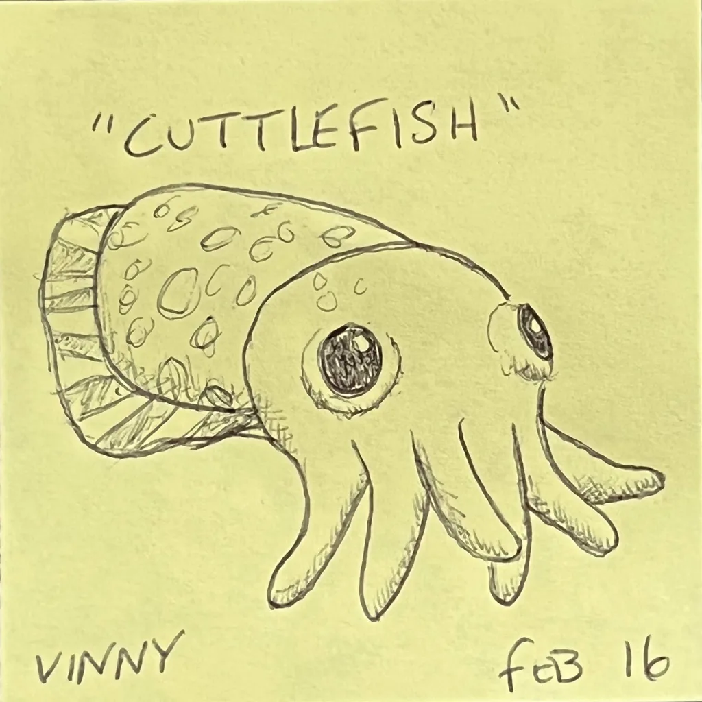 Cuttlefish