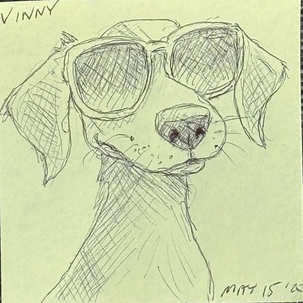 Cool Shades Dog