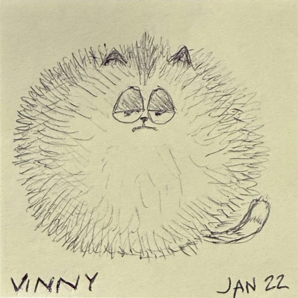 Grumpy Fluffball Cat