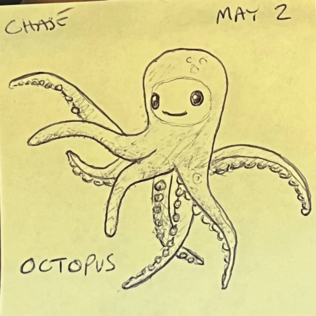 Octopus