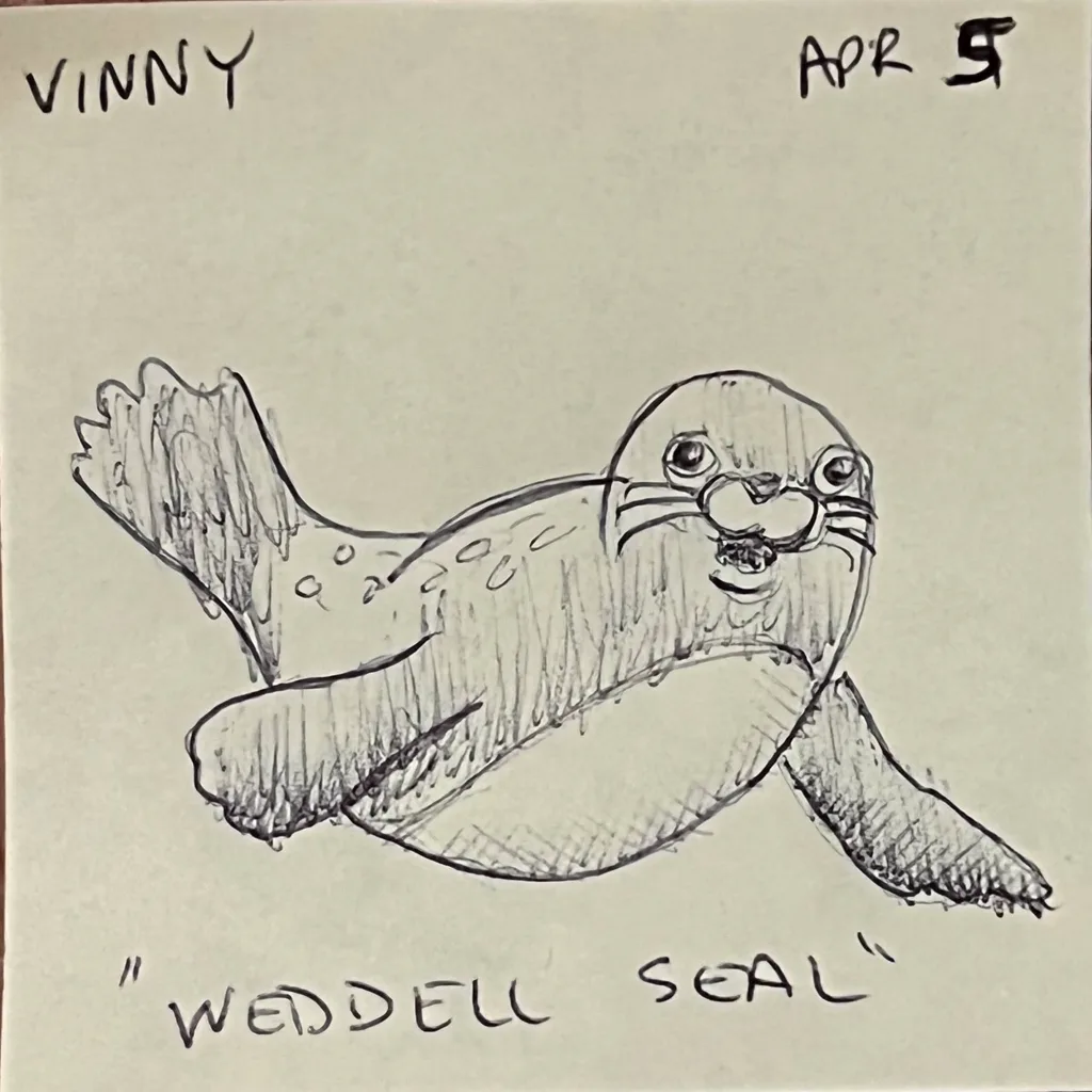 Weddell Seal