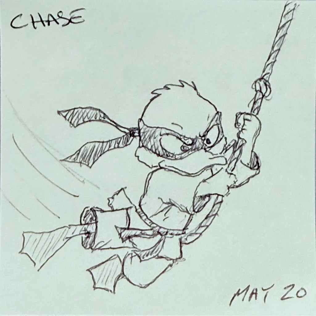 Ninja Duck