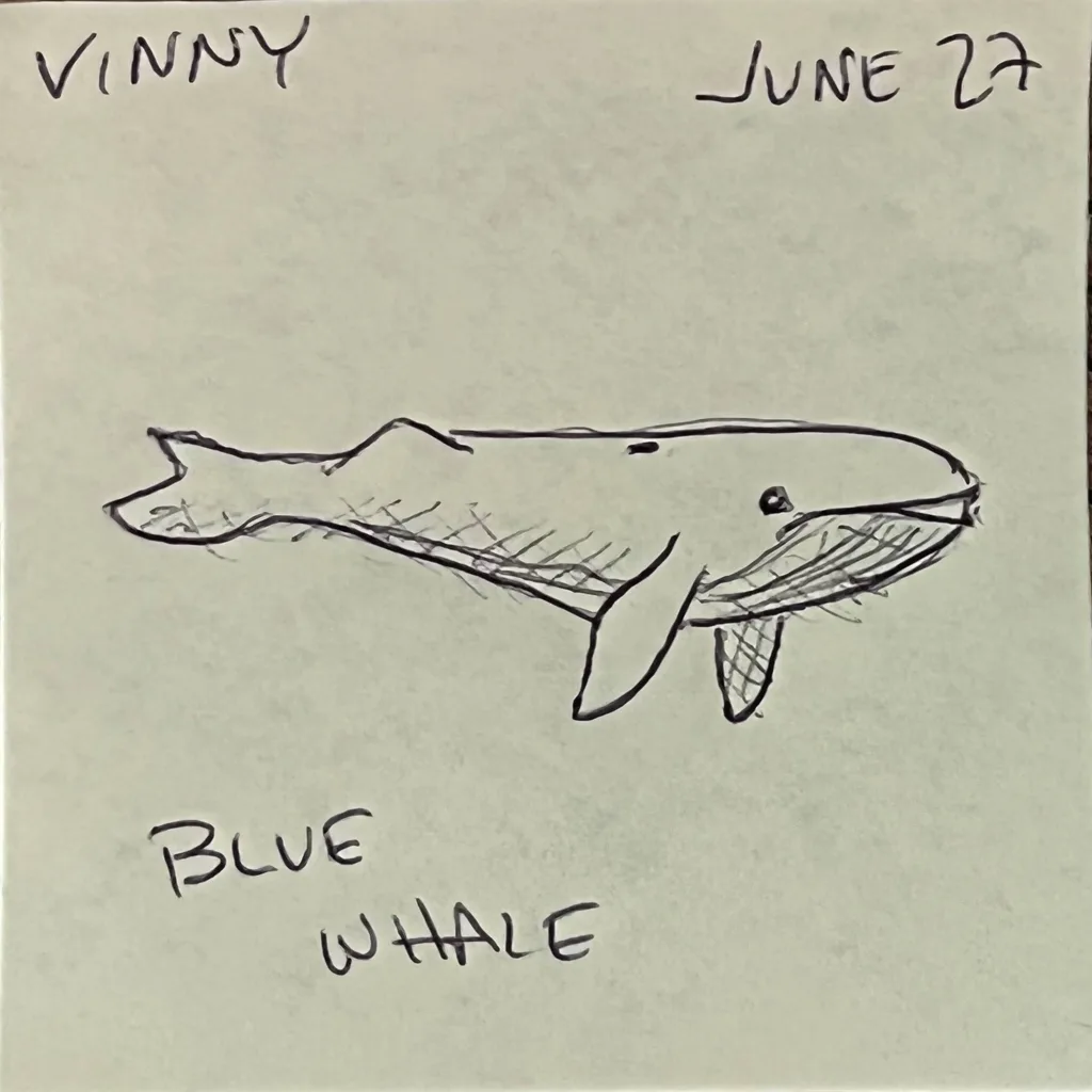 Blue Whale