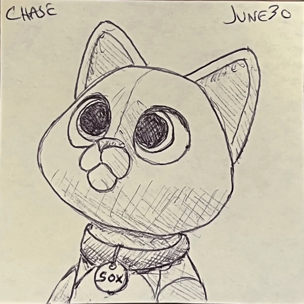 Sox The Robot Cat