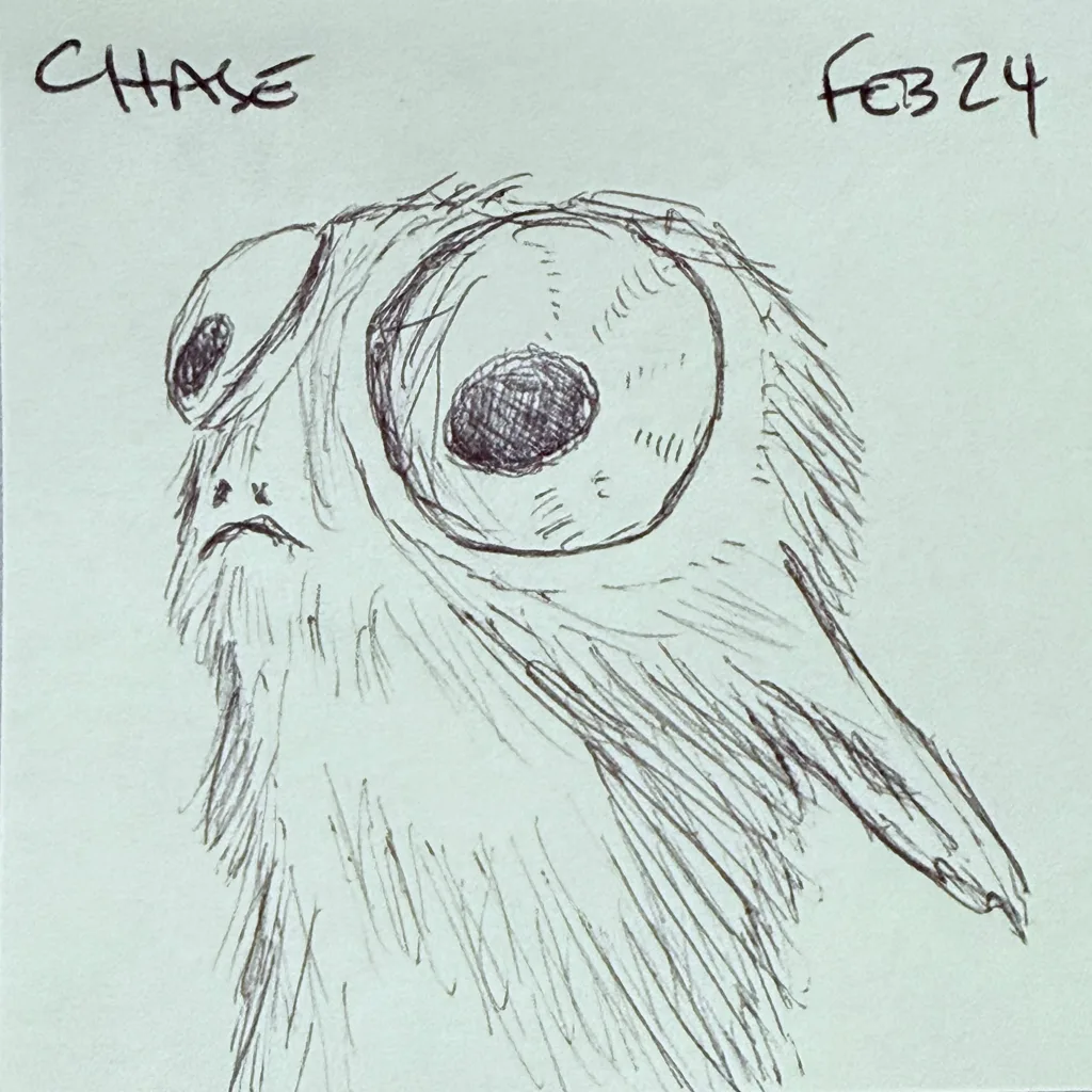 Grumpy Porg
