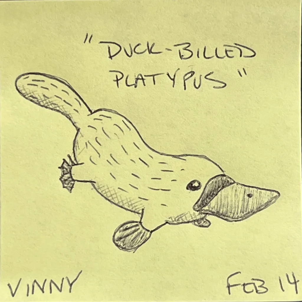 Duck-Billed Platypus