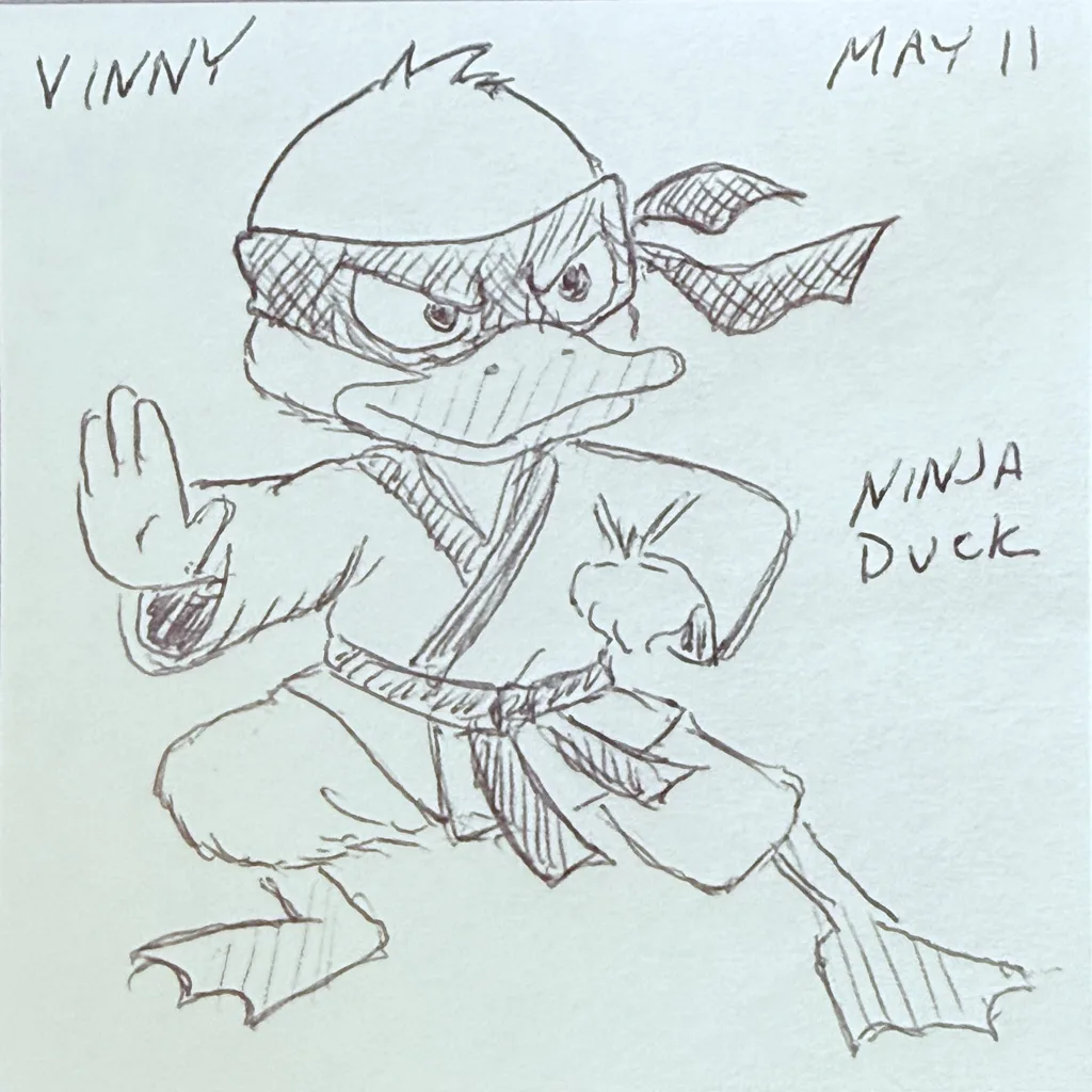 Ninja Duck