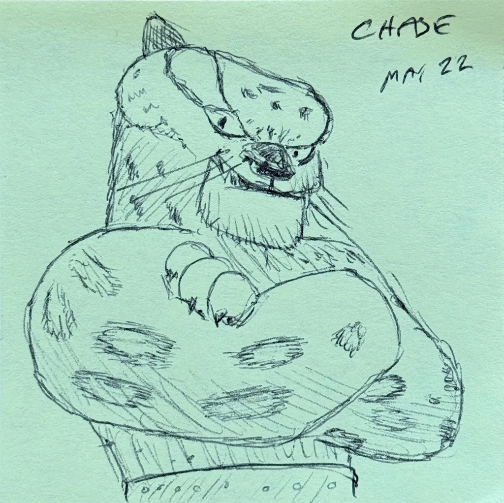 Tough Tiger