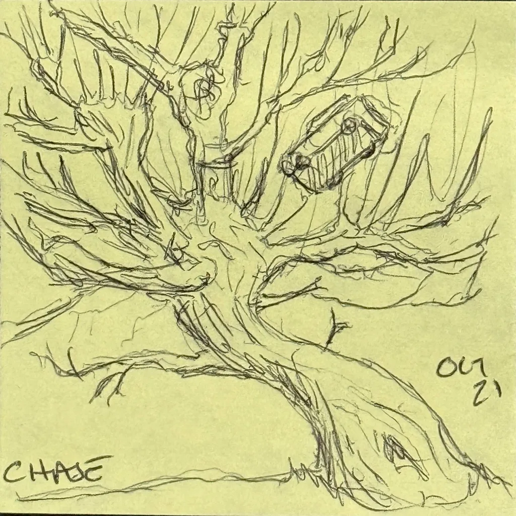 Gnarled Climbing Tree