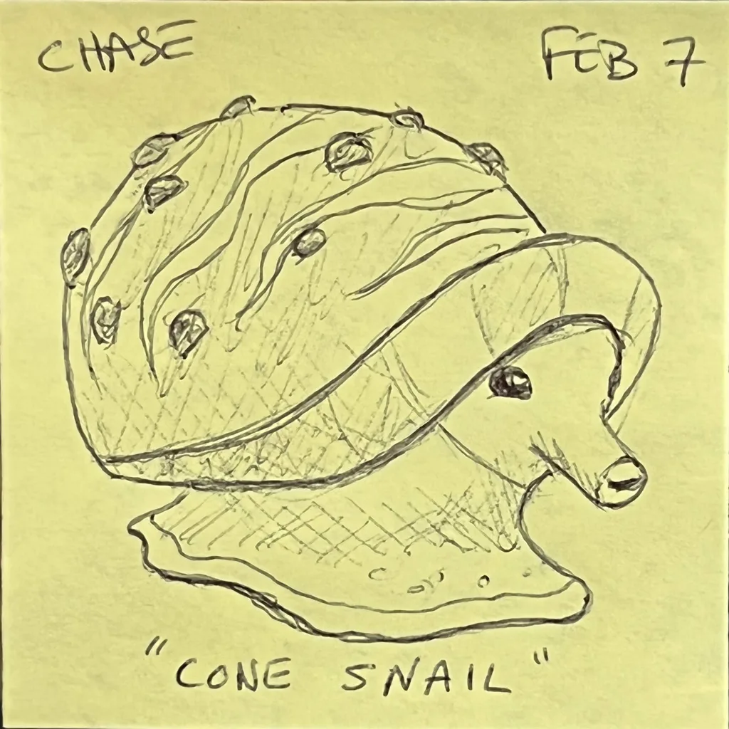 Cone Snail