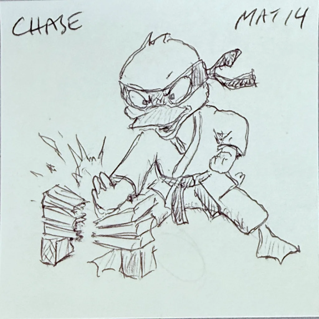 Karate Ninja Duck