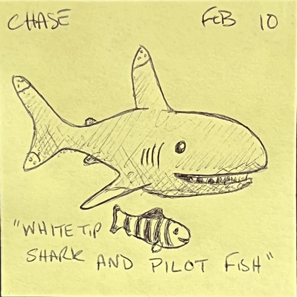 Whitetip Shark And Pilot Fish
