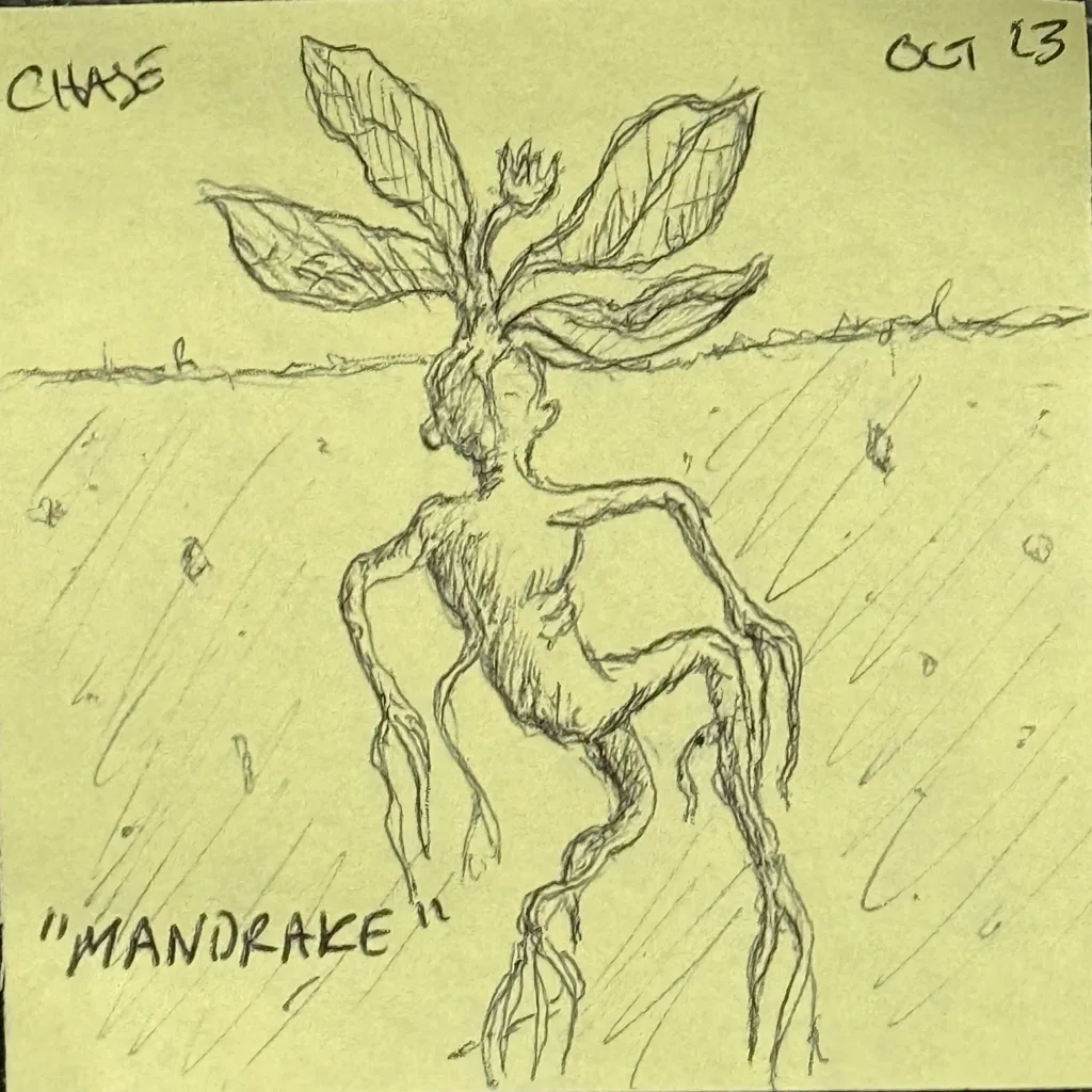 The Mandrake
