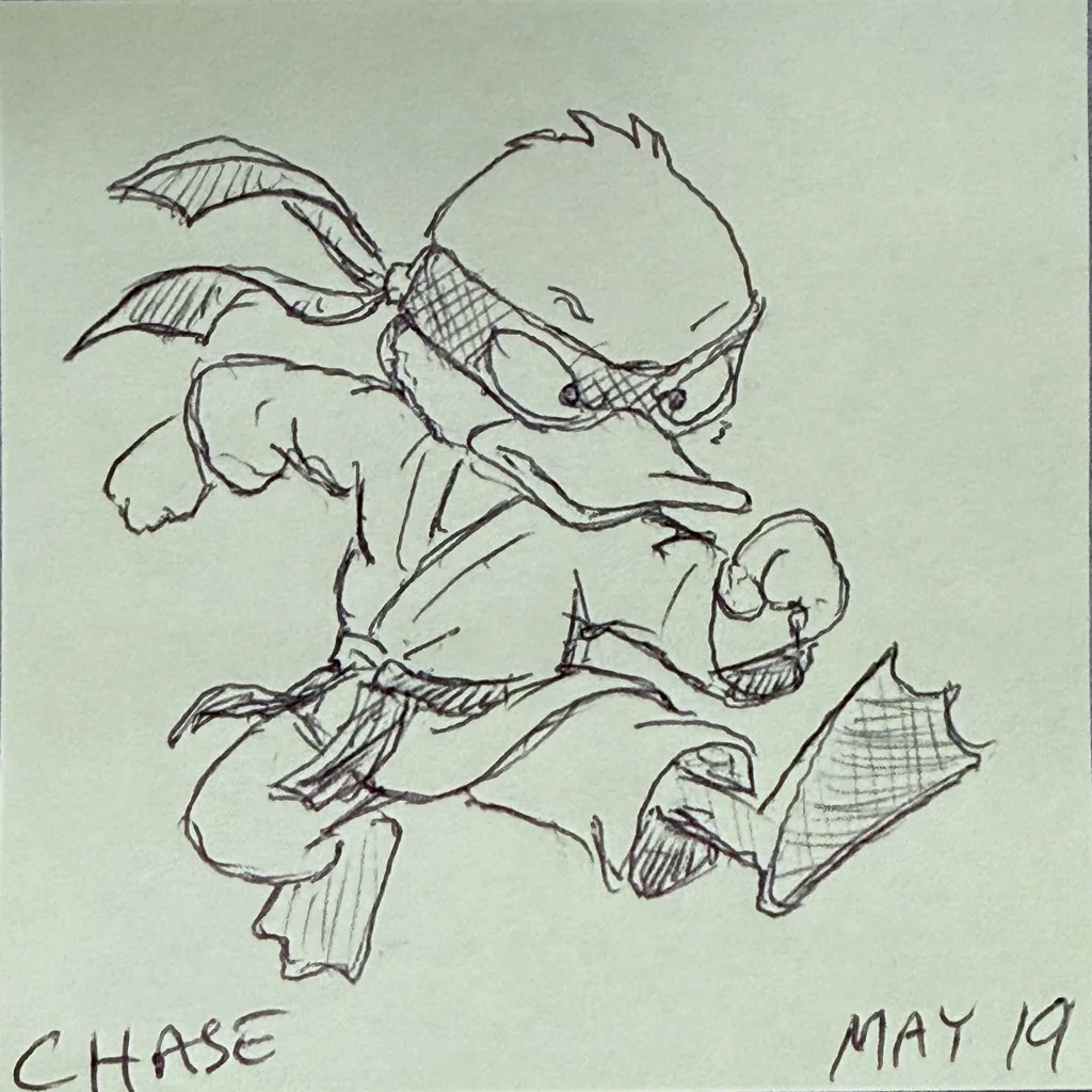 Ninja Duck