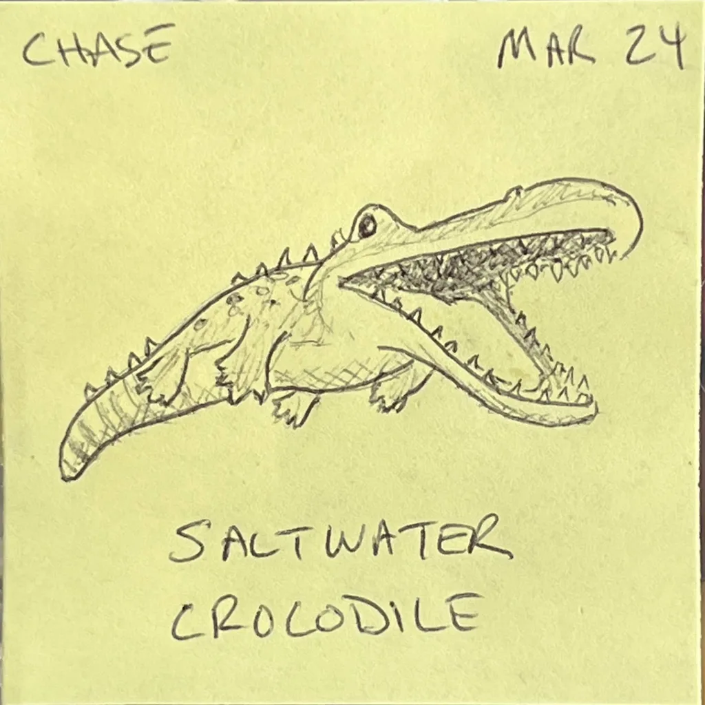 Saltwater Crocodile