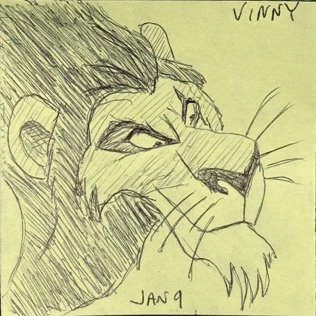 Scar