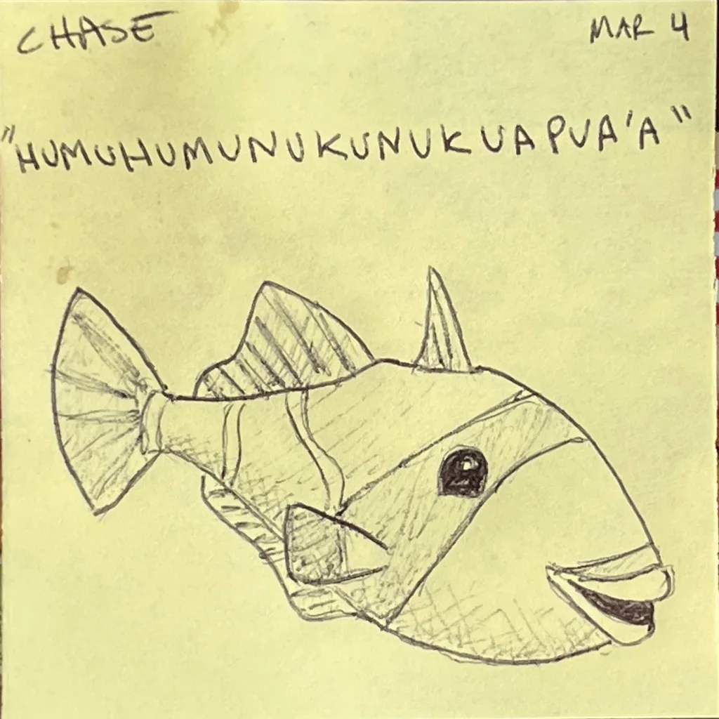 Humuhumunukunukuapua'a Fish