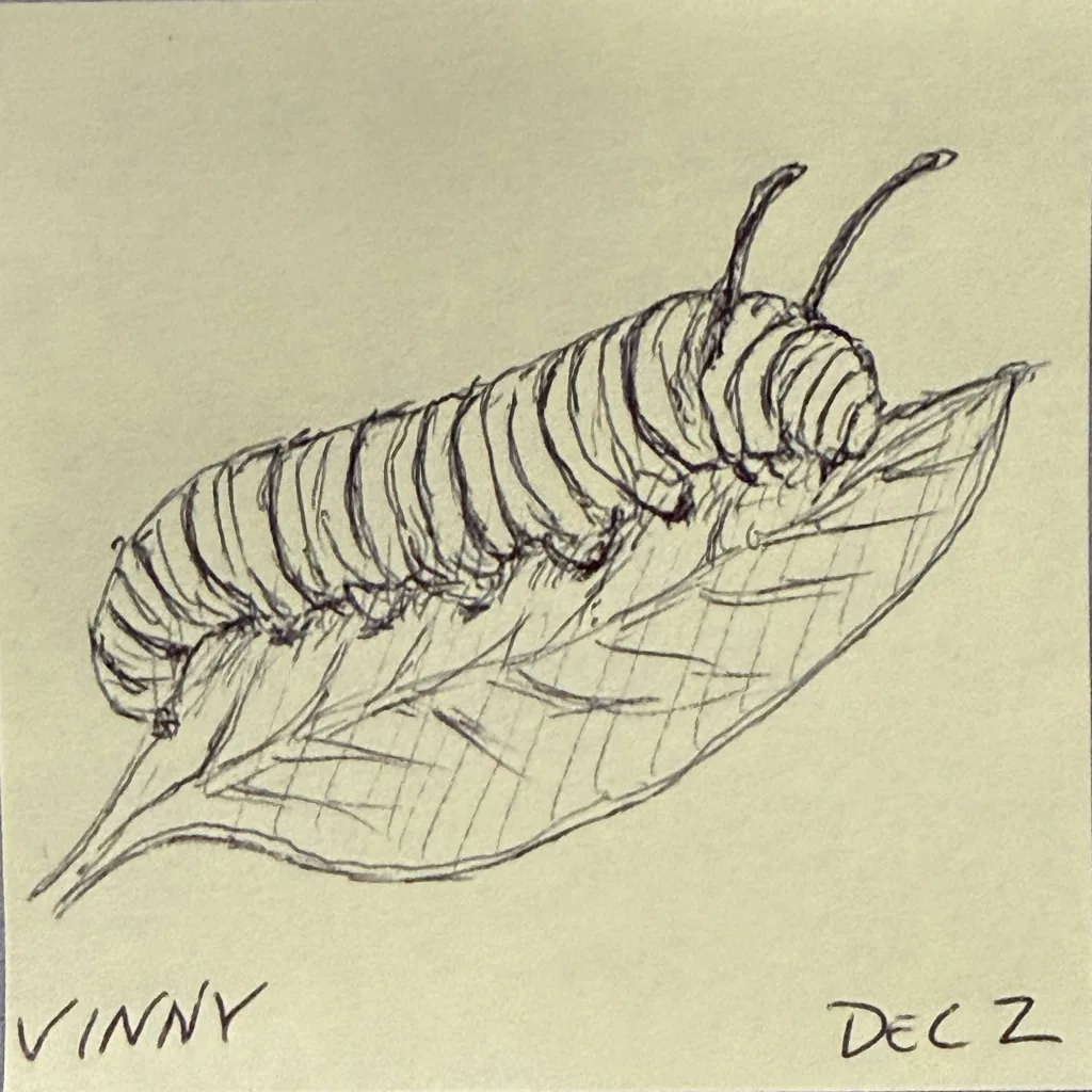Caterpillar On A Leaf