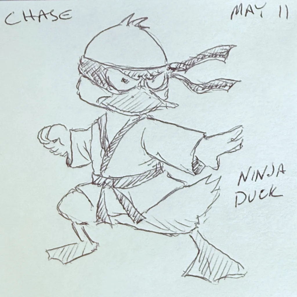 Ninja Duck