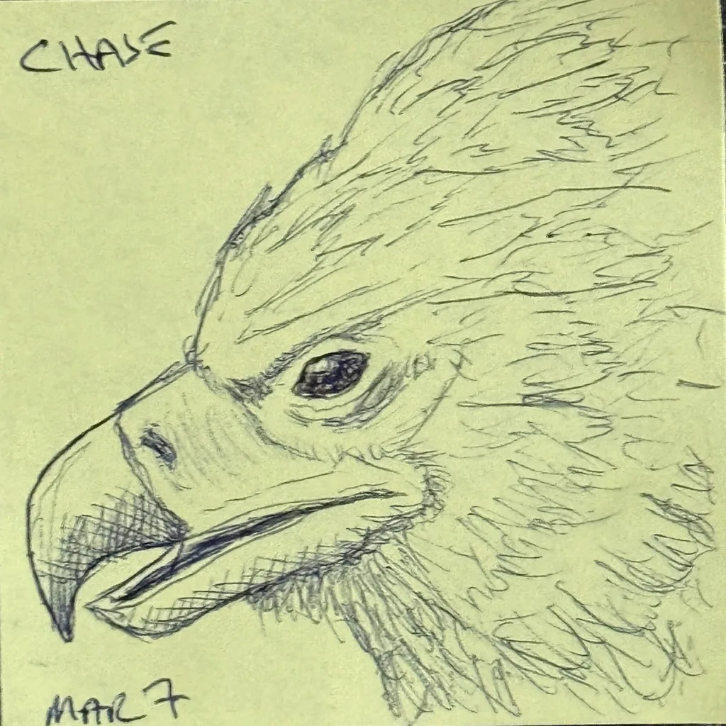 Eagle Eye