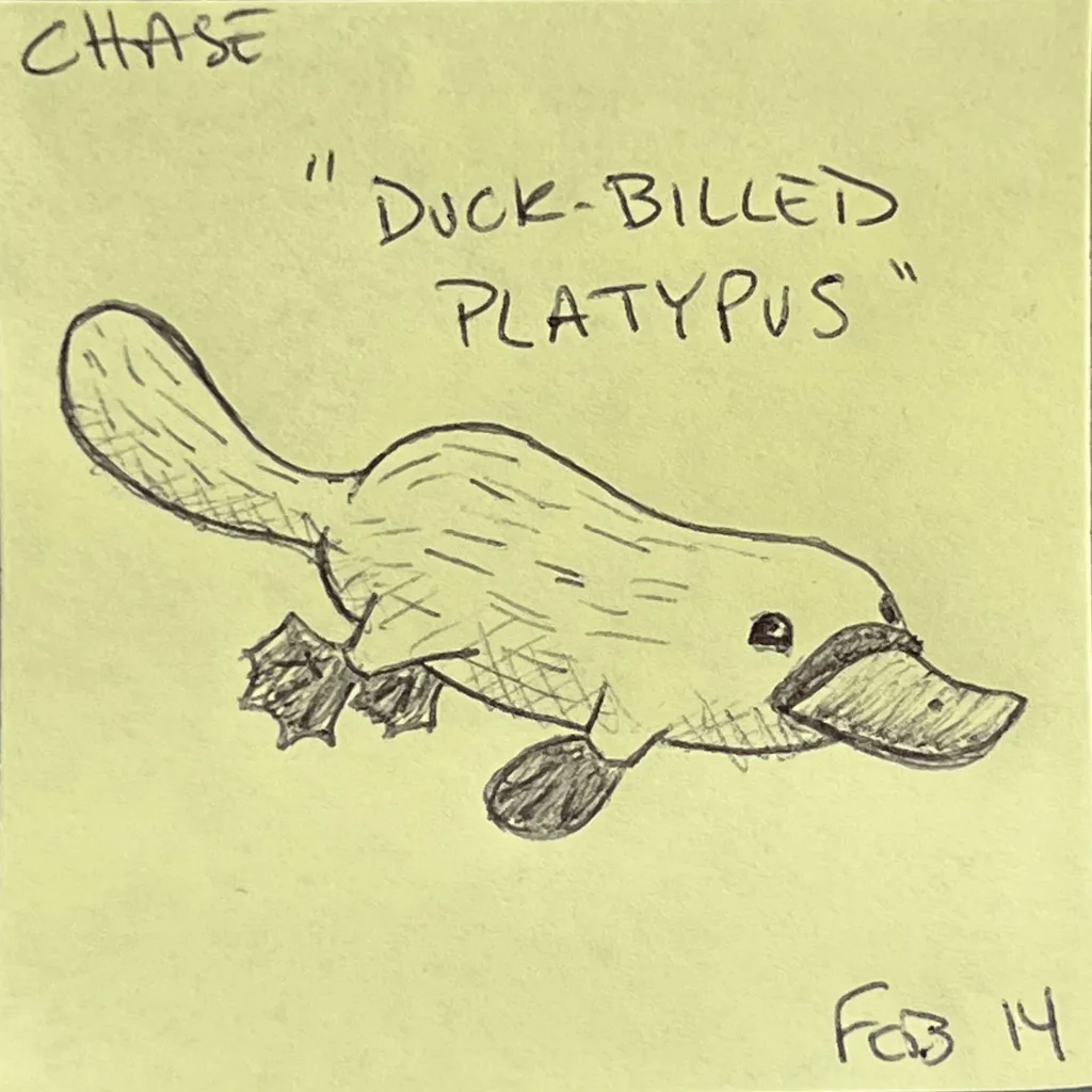 Duck-Billed Platypus