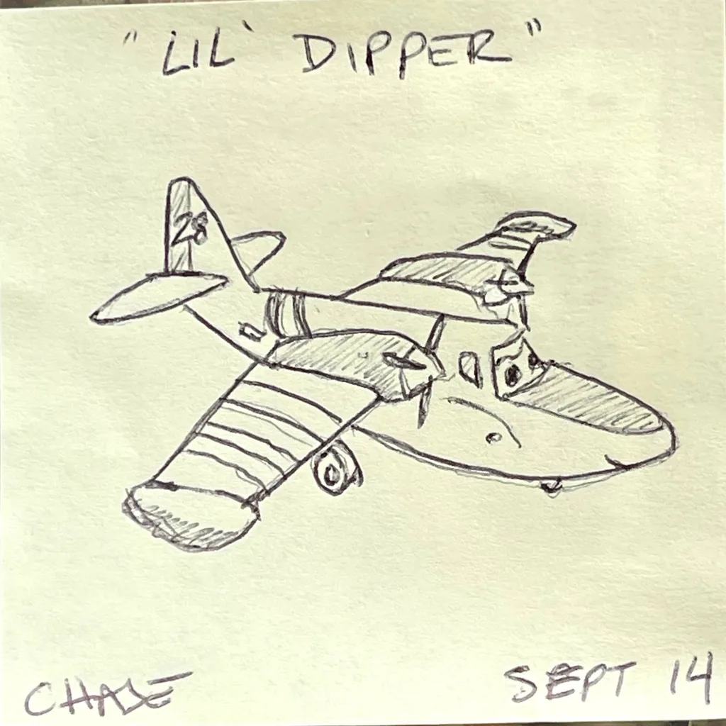 Lil' Dipper