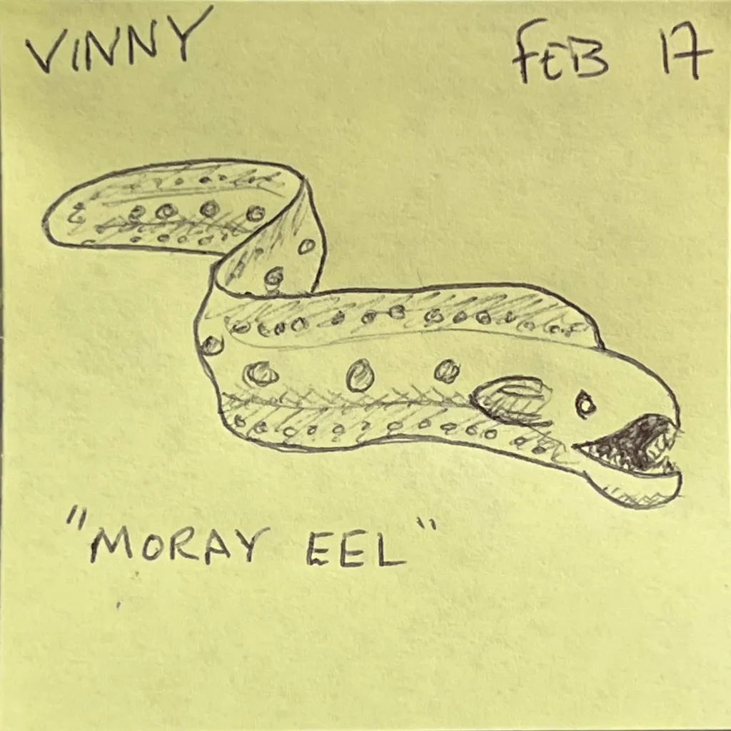 Moray Eel