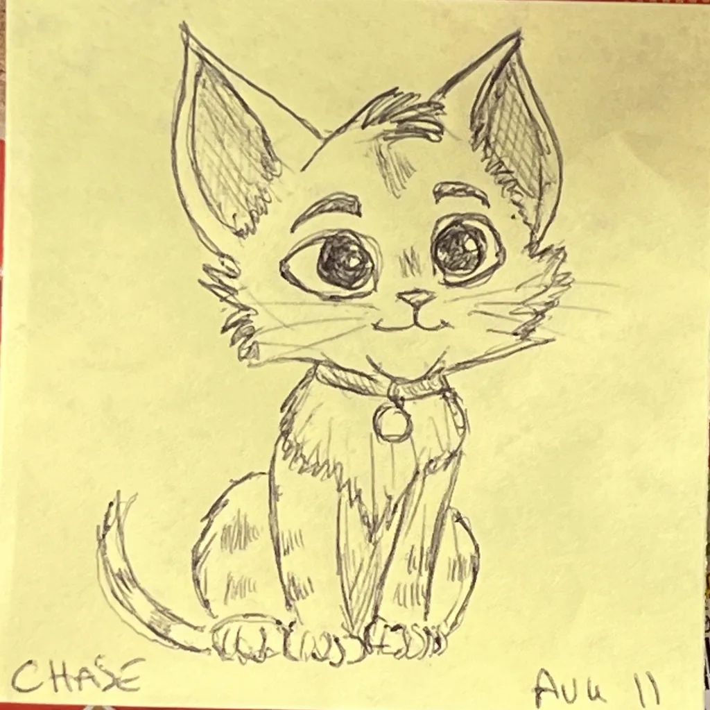 Bell Collar Kitten