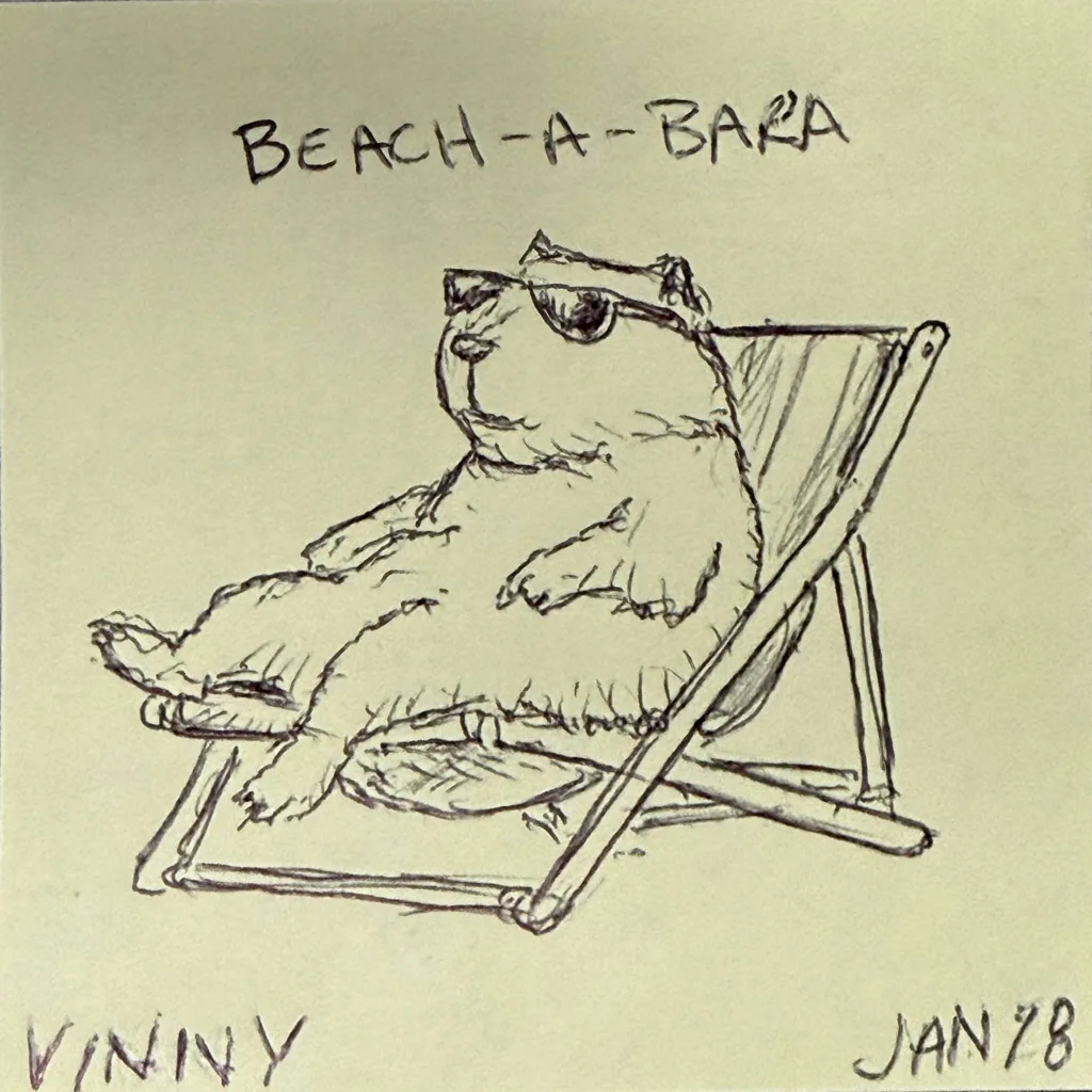 Beach-A-Bara