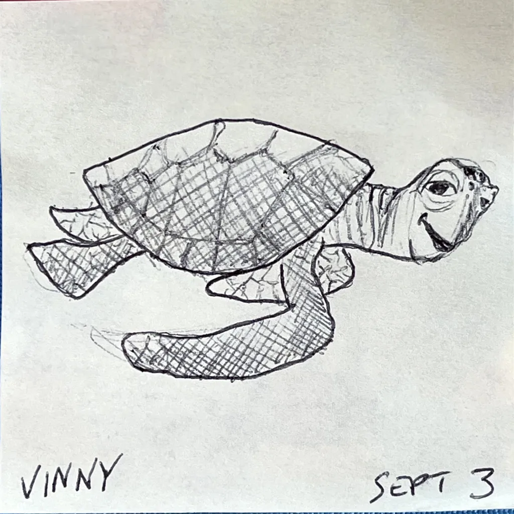 Swimming Sea Turtle