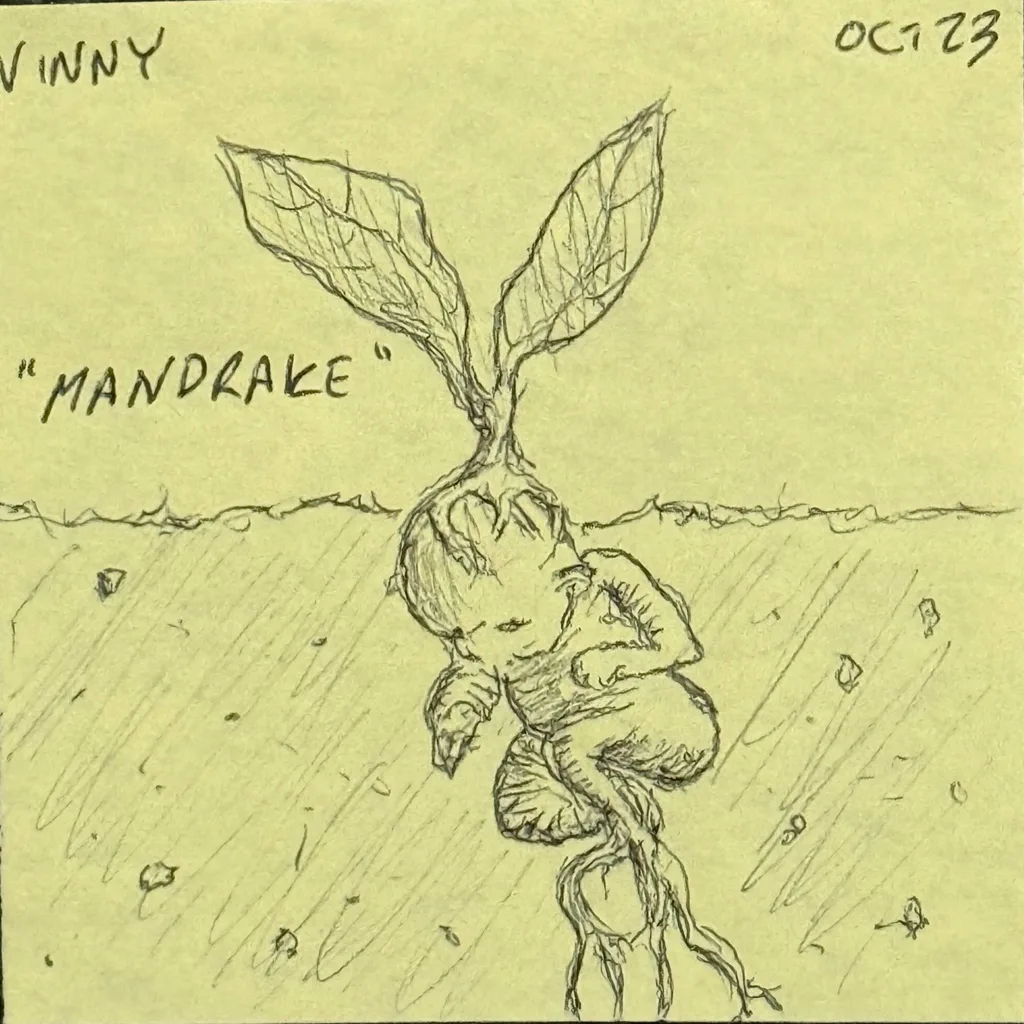 Mandrake