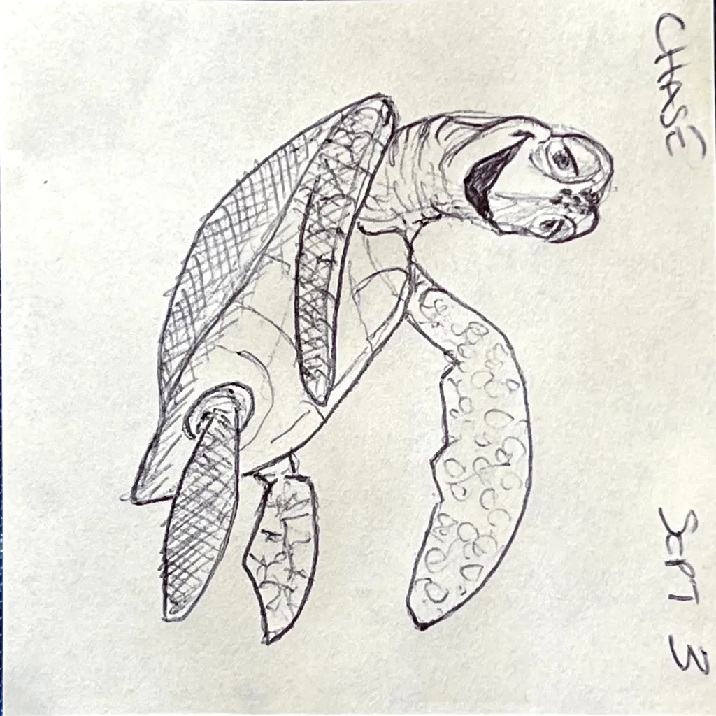 Crush The Turtle