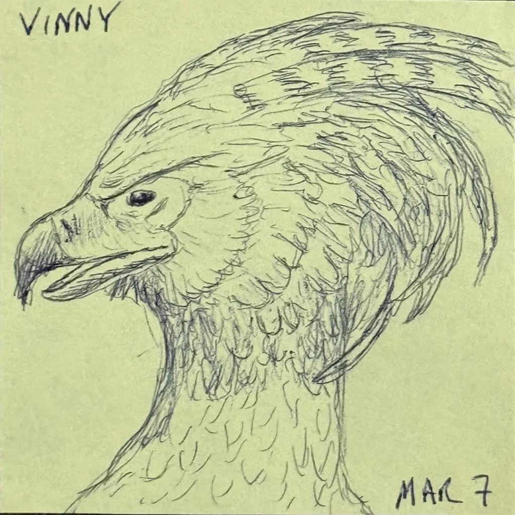Majestic Eagle