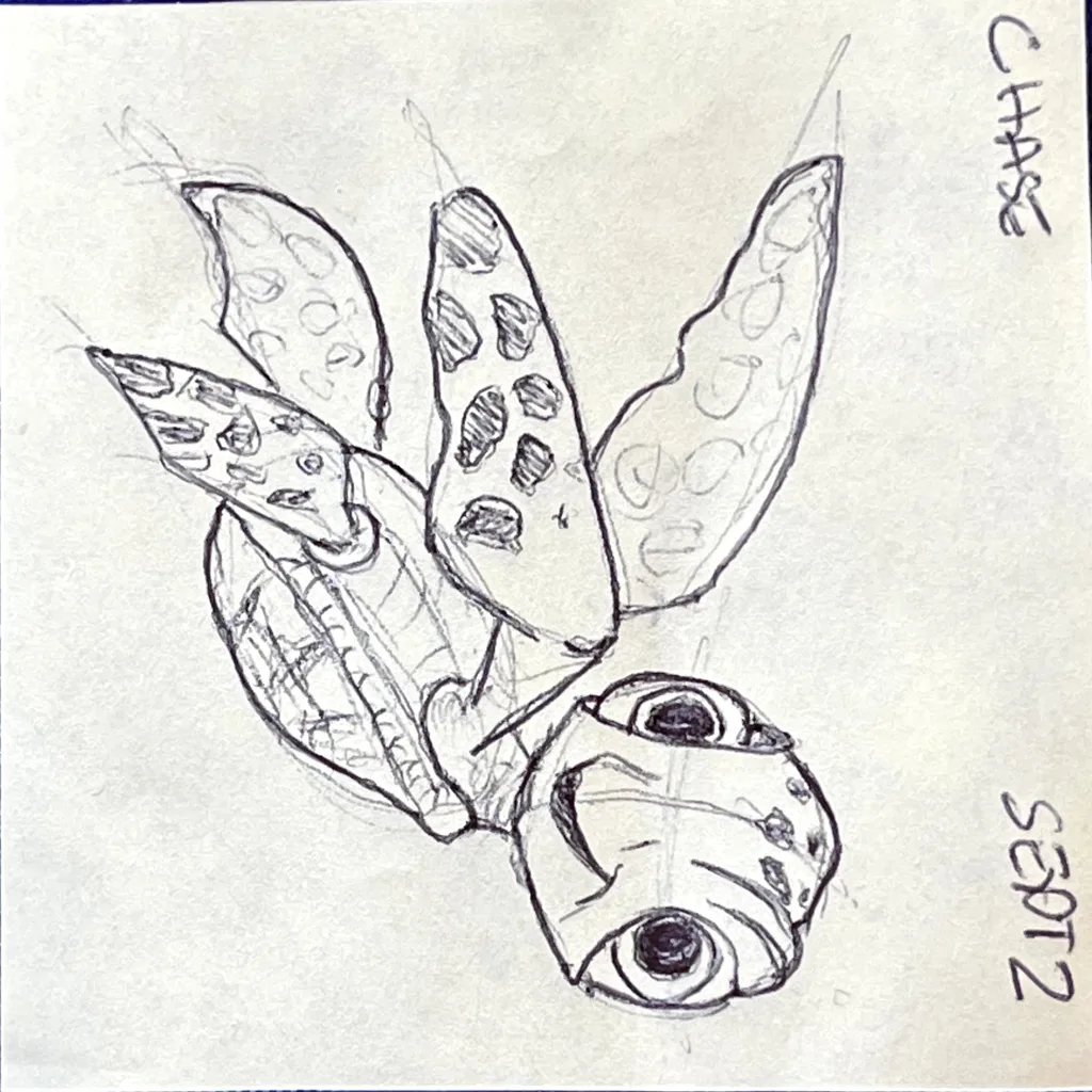 Squirt The Turtle