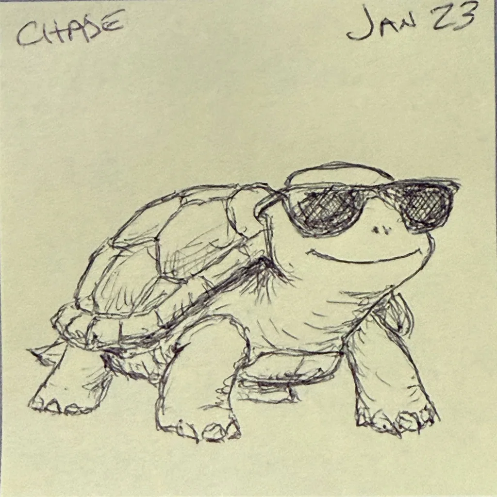 Sunglasses Turtle