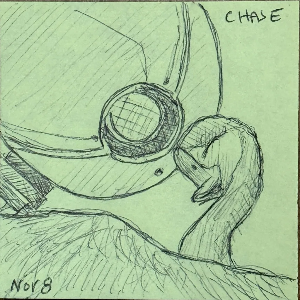 Mystery Bird Close-Up