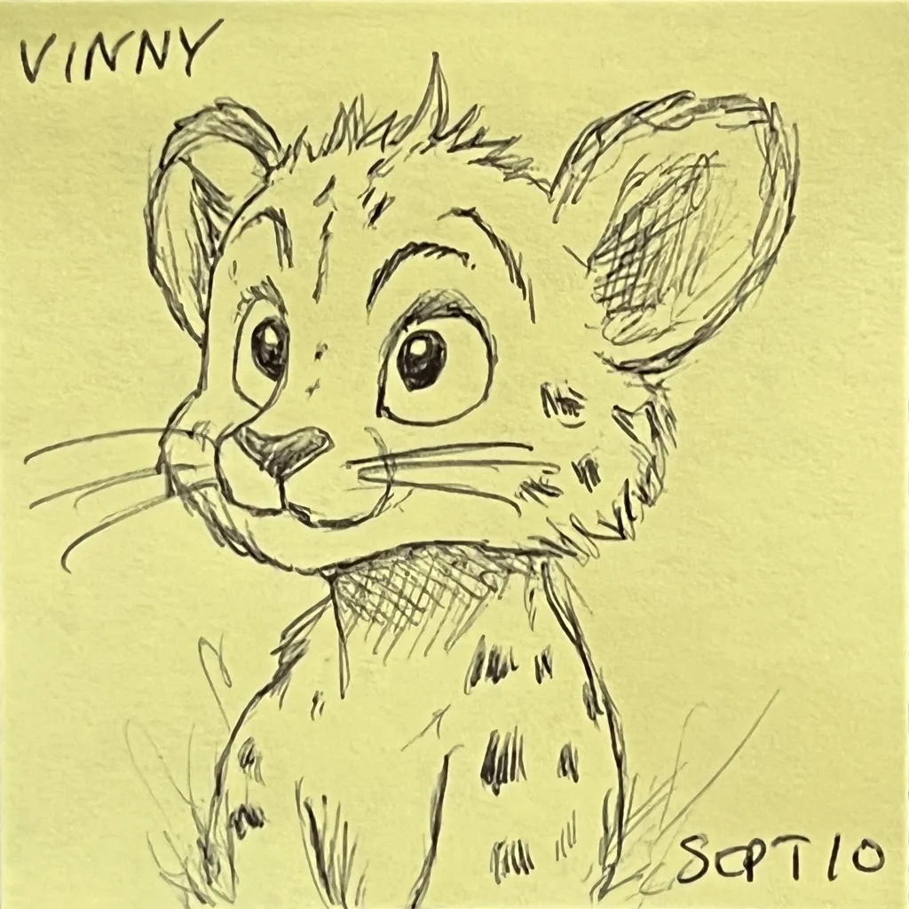 Cheetah Cub