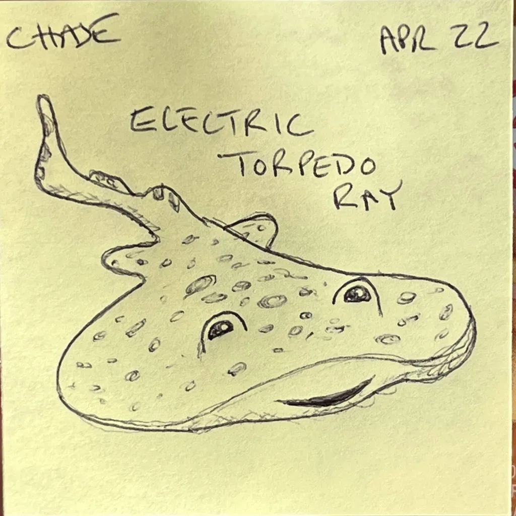 Electric Torpedo Ray