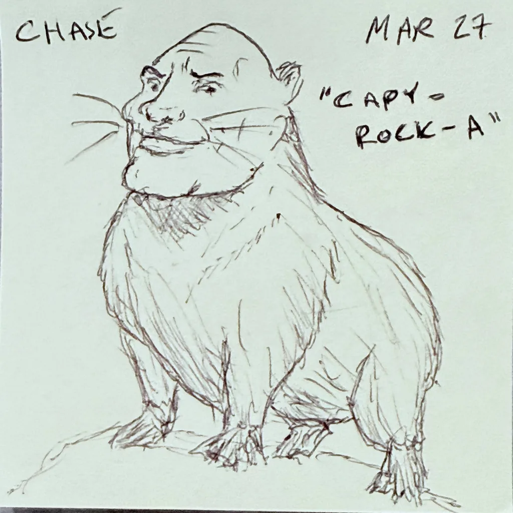 Capy-Rock-A